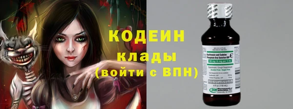 дживик Заводоуковск