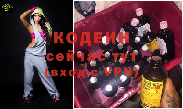 дживик Заводоуковск