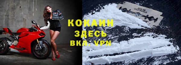 дживик Заводоуковск