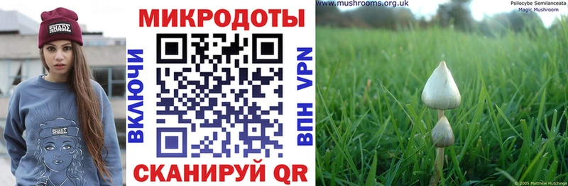 Псилоцибиновые грибы MAGIC MUSHROOMS  Купить закладки  Кедровый 