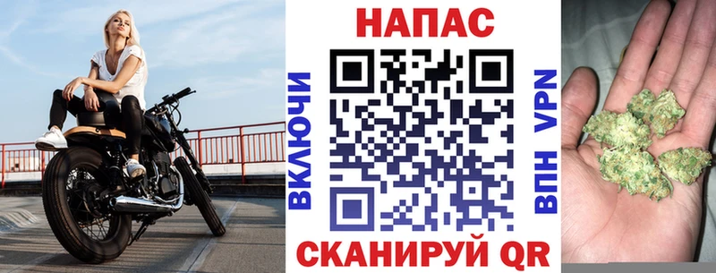 Бошки Шишки гибрид  Купить  Кедровый 
